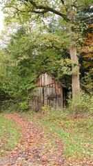 Fototapeta na wymiar Barn in the forest