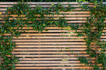 Bardage Bois Extérieur Vertical encadré de plantes grimpantes et de roses dans le jardin