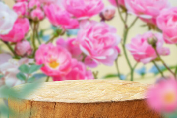 Empty old tree stump table top with blur rose garden background for product display