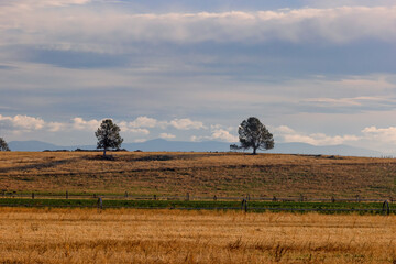 Agriculture fields in south eastern Oregon, USA,