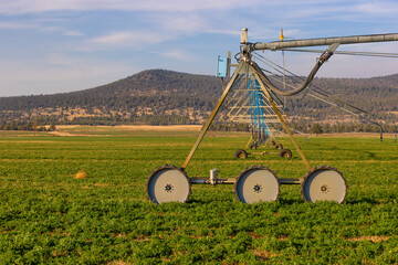 Irrigation pivot in an Alfalfa field in southern Oregon, USA