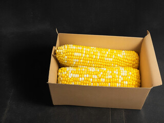 Top view fresh raw corn yellow plant on a dark-light table color green photo