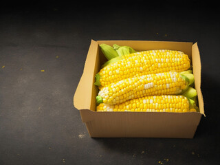 Top view fresh raw corn yellow plant on a dark-light table color green photo