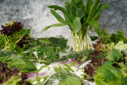 cheremsha Allium ursinum in a pitcher around edible greens: dill, parsley, lettuce, green onions