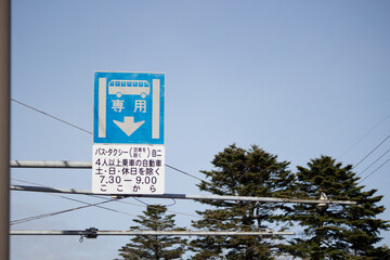 日本の道路標識（バス専用）