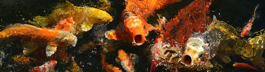 Fische 189