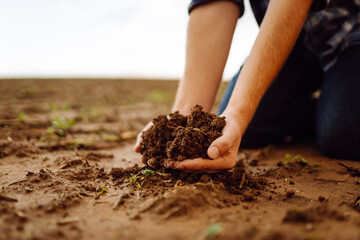 Soil is in the strong hands of a farmer on a black field. The male hands of an agronomist check the condition of the black soil. Agriculture or gardening concept.
