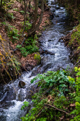 The river meanders gracefully, embraced by a vibrant tapestry of green and orange leaves. Nature's palette transforms the water's edge into a serene symphony of autumnal hues