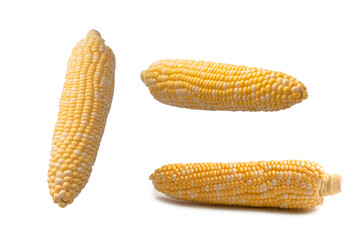 Yellow corn isolated on white background. Copyspace.