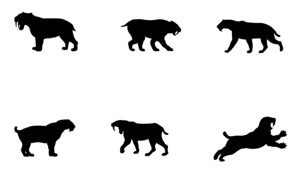 saber-toothed tiger silhouettes set