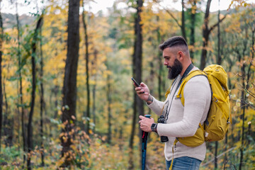 During his forest hike, a bearded young man consults his smartphone for directions.