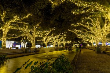 Houston zoo lights - magic in night - Christmas lighting in Texas, USA