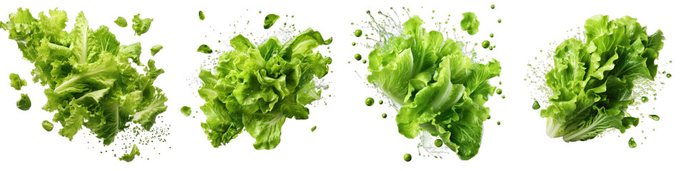 Falling lettuce salad leaves Hyperrealistic Highly Detailed Isolated On Transparent Background Png File - obrazy, fototapety, plakaty