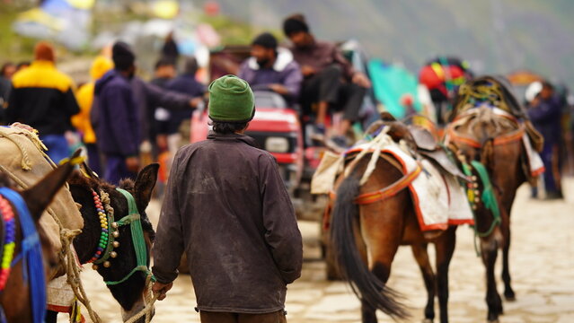 photo of a man with his donkey in kedarnath temple : 01 SEP. 2023 Shri Kedarnath Temple, dedicated to Lord Shiva, Rudraprayag district of Uttarakhand, India