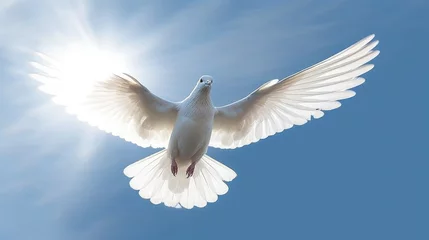 Fotobehang White doves and bright lights in the sky as a peace and spiritual symbol of Christian people. Holy spirit symbol. © Riocool