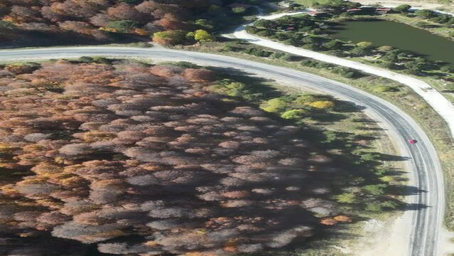 Curvy mountain roads in autumn. Vehicles in motion on winding mountain roads. 