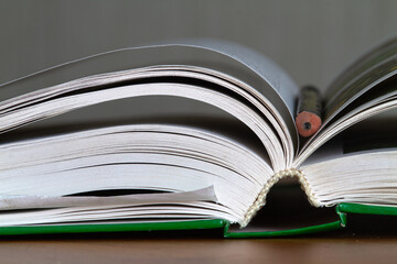 the open book is laid with a pencil