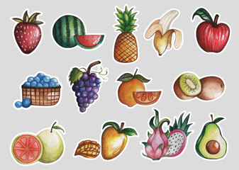 Handdrawn Watercolor Fruit Illustration