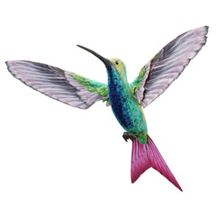 hummingbird isolated on white © Diem