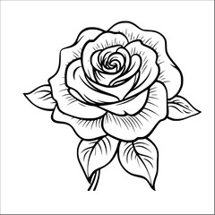 rose illustration doodle style vector outline