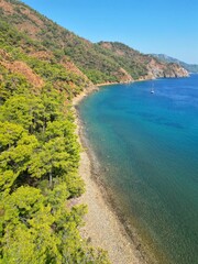 the view from the top of a hill shows the beach and water, with trees