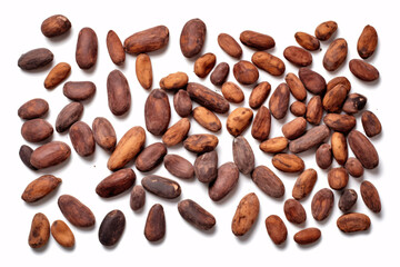Obraz premium A top-side view of immature and aged cocoa beans separately on a white backdrop is depicted.