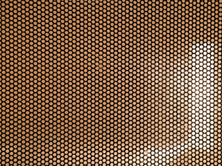 Marburg Marbach Herbstwald