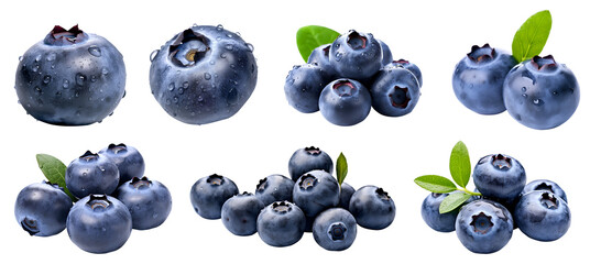 Blueberry Blueberries Bilberry Bilberries, many angles and view side top front sliced halved bunch cut isolated on transparent background cutout, PNG file. Mockup template for artwork graphic design - obrazy, fototapety, plakaty