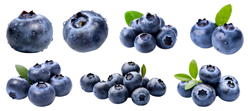 Blueberry Blueberries Bilberry Bilberries, many angles and view side top front sliced halved bunch cut isolated on transparent background cutout, PNG file. Mockup template for artwork graphic design