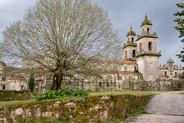 Fototapeta na wymiar Tree and Monastery of Santa María la Real de Osera, San Cristóbal de Cea, Orense, Galicia.