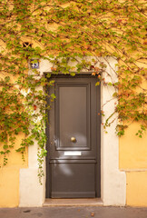 Porte en bois marron d'entrée de maison entourée de vigne vierge sur un mur ocre jaune dans une...