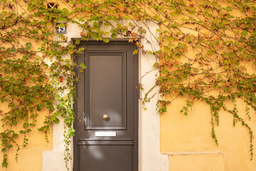 Porte en bois marron d'entrée de maison entourée de vigne vierge sur un mur ocre jaune dans une ruelle d'une ville du sud. - obrazy, fototapety, plakaty