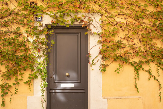 Fototapeta Porte en bois marron d'entrée de maison entourée de vigne vierge sur un mur ocre jaune dans une ruelle d'une ville du sud.