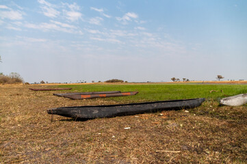 Fototapeta na wymiar Two Mokoro's moored in the Okavango delta, Botswana.