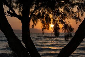 Vibrant sunset over a sea horizon with silhouetted branches in Kos, Greece