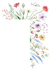 Border  made of watercolor wild flowers and leaves, summer wedding and greeting illustration
