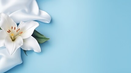 Fototapeta na wymiar Graceful magnolia and lily banner: serene floral beauty with ample copy space, perfect for diverse creative projects and elegant designs.