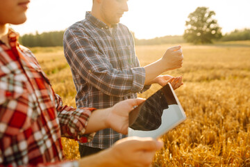 A couple of farmers inspect a grain field using a digital tablet. Smart farming, digital...