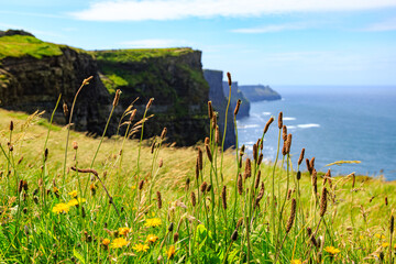 Cliffs of Moher