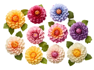 Behang Collection of many kinds of colorful flowers on PNG transparent background for decorating projects. © I LOVE PNG