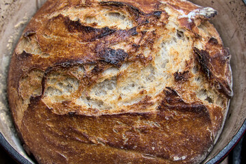 rustic no knead sourdough bread in a pot with towel (cast iron dutch oven, covered baking) crusty,...