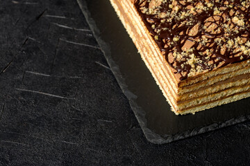 A piece of Dobosh cake