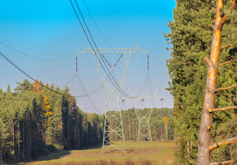 Duże stalowe słupy elektryczne  o konstrukcji kratownicowej na leśnej przesiece ( przecince, polanie) . Jesienne południe w lesie . Linia wysokiego napięcia wśród drzew. Kable przesyłowe. © Grzegorz