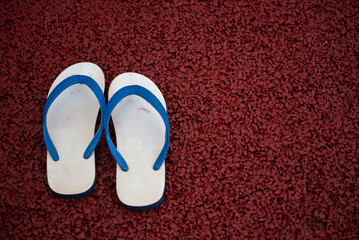 Colorful Beach Flip-Flops on Blue Carpet