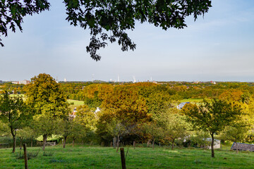 Autumn landscape of agricultural plots with trees with yellowish green foliage, industrial complex against blue sky in background, sunny day in Sweikhuizen, South Limburg, Netherlands