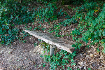 Rustic bench made from fallen tree trunk on hillside next to a dirt path, Stammenderbos nature reserve, green wild vegetation in background, sunny day in Sweikhuizen, South Limburg, Netherlands