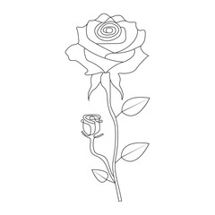 Vector hand drawn illustration  continuous rose flower one line art
