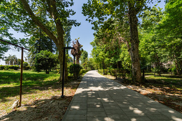 Empty footpath amidst trees in park