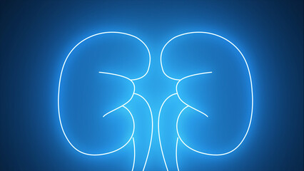 Glowing blue neon line Human kidney icon isolated on a black background. Neon human kidneys icon in...