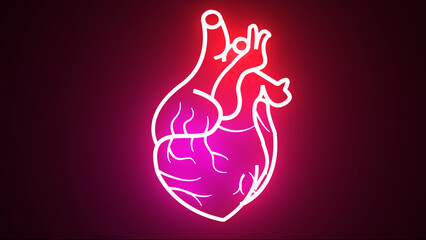 Glowing red and purple neon human heart. Human blood circulation system heartbeat anatomy animation...